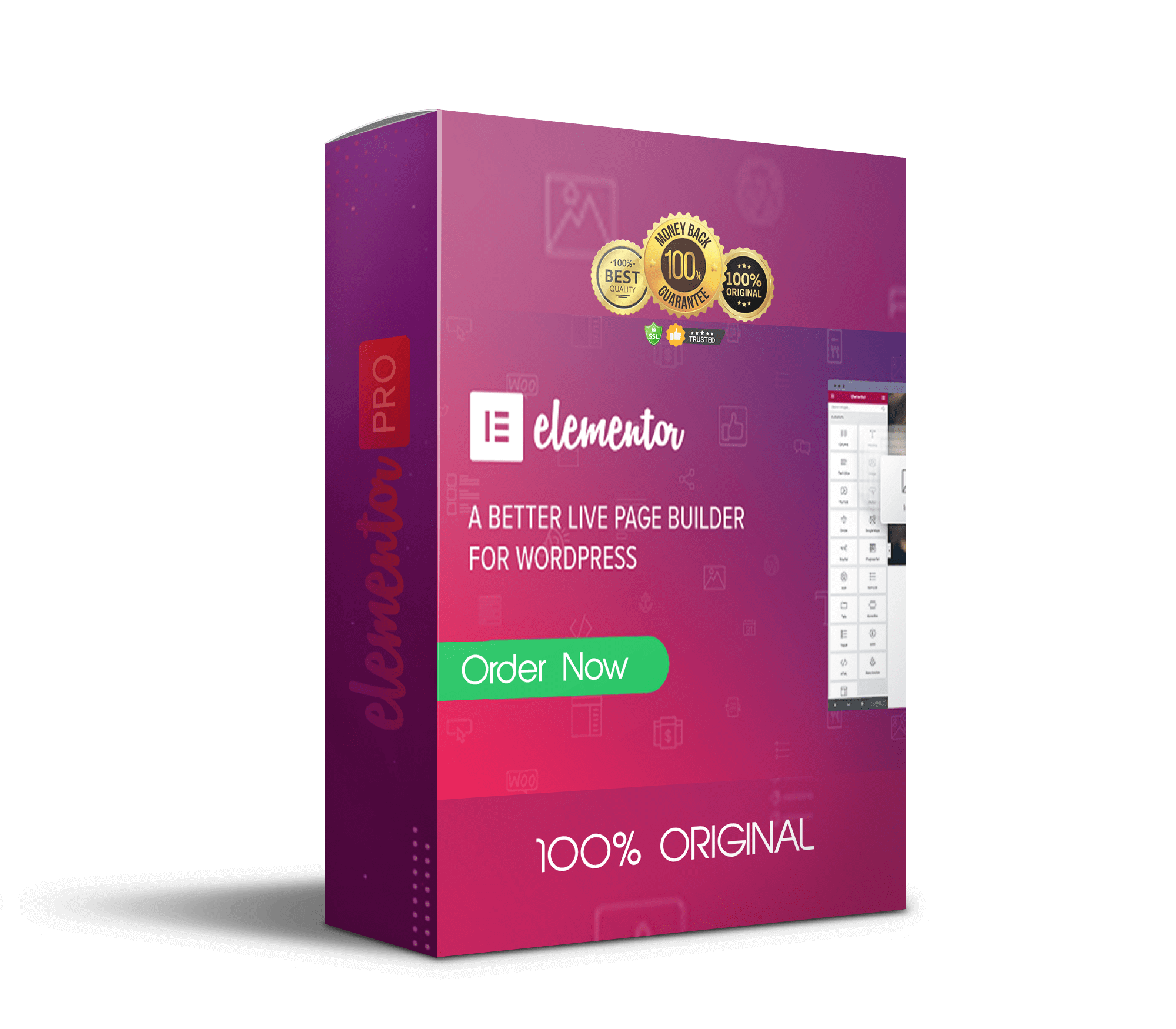 Jasa Instal Elementor Pro